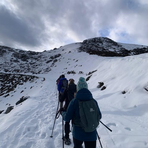 43bbffb1-b4ad-4c11-80e1-c483016ae7d1