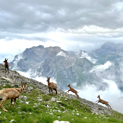 Paisaje en Collado Jermoso
